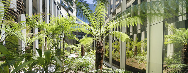 VHHSBA-Health-Bendigo-Hospital-sustainability-promo