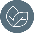 Passive design elements
