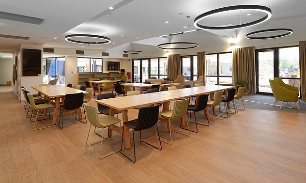 Dining room with wooden tables and chairs with ring-shaped lights above