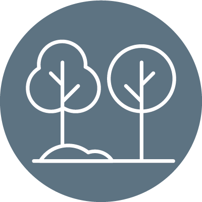 Gardens and green spaces