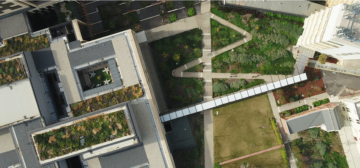 Aerial view of the roof of the Bendigo Hospital. There is trees and foliage on the roof.