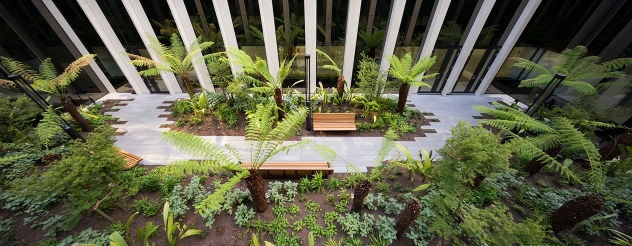 Aerial view of a hospital garden