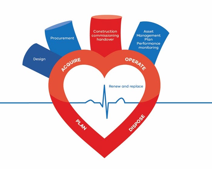 A diagram of the heart with four veins representing Design, Procurement, Construction commissioning handover, and Asset Management Plan performance monitoring. Around the outside of the heart are the words Acquire, Operate, Plan, Dispose. Inside the heart are the words 'renew and replace'.