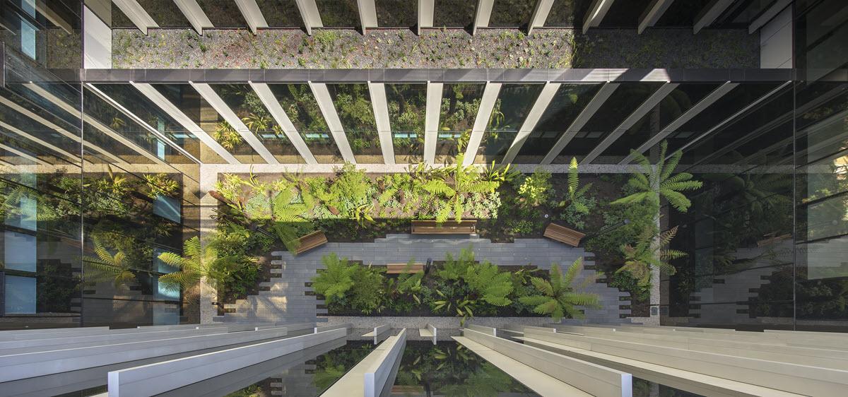 Aerial view of a courtyard filled with greenery at Bendigo Hospital