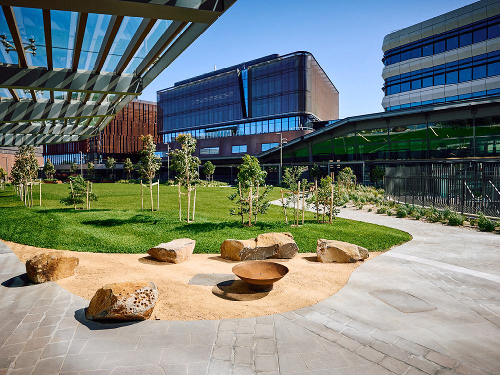 Welcoming green space with rocks and plants