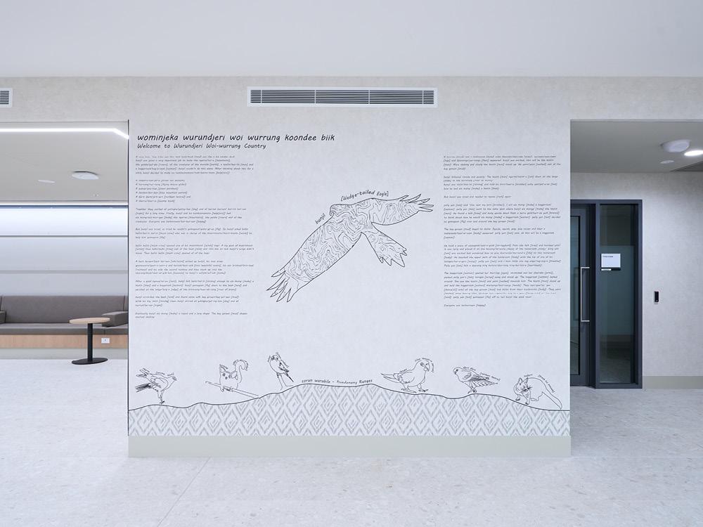 Indigenous artwork featuring local language, bird illustrations and cultural stories displayed on a hospital interior wall.