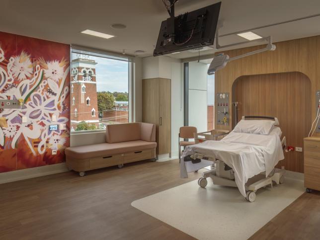 A birthing suits with a bed, couch seating and artwork of native flora painted on the walls