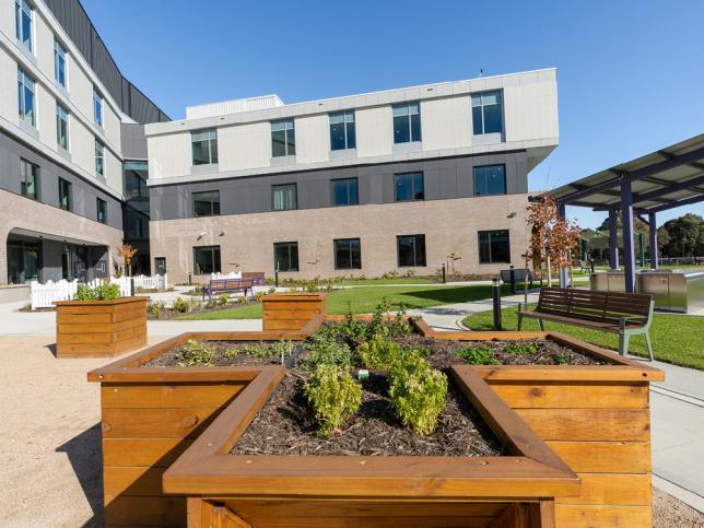 A sunny looking courtyard with planters and greenery
