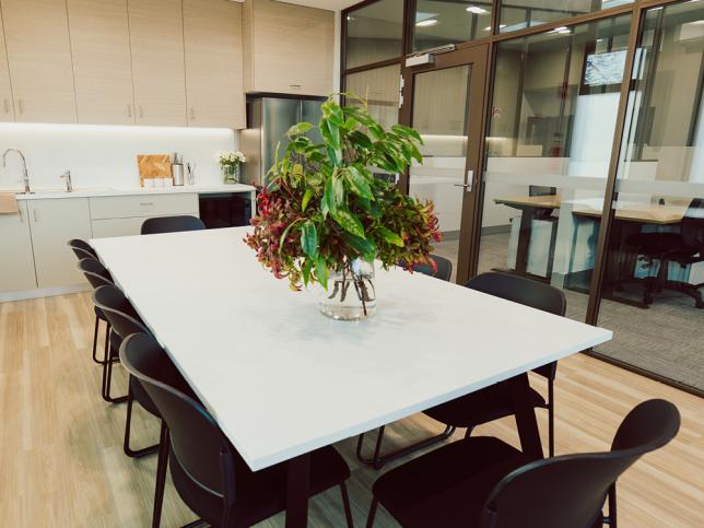 Large table and chairs