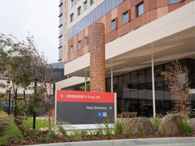 Main entrance of Frankston Hospital Redevelopment with artwork by Dan Elborne