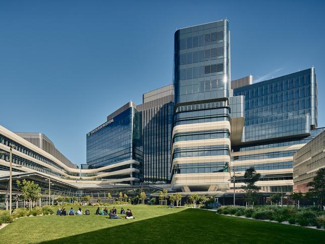 Space with green grass and plants