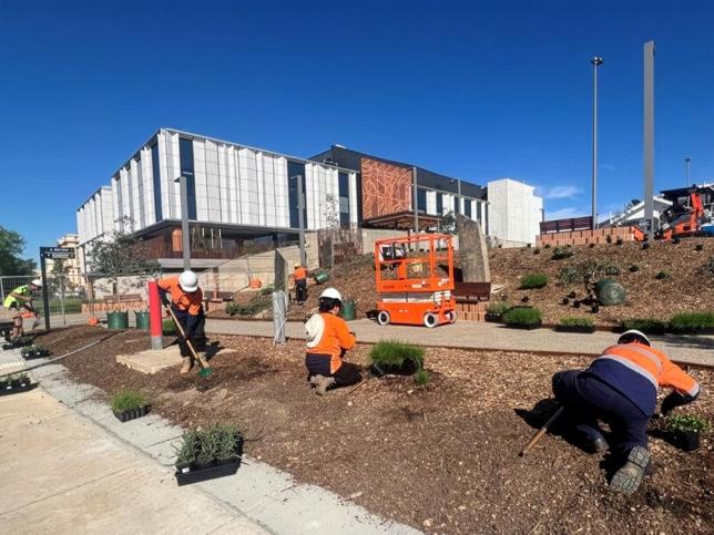 people in hi-vis planting
