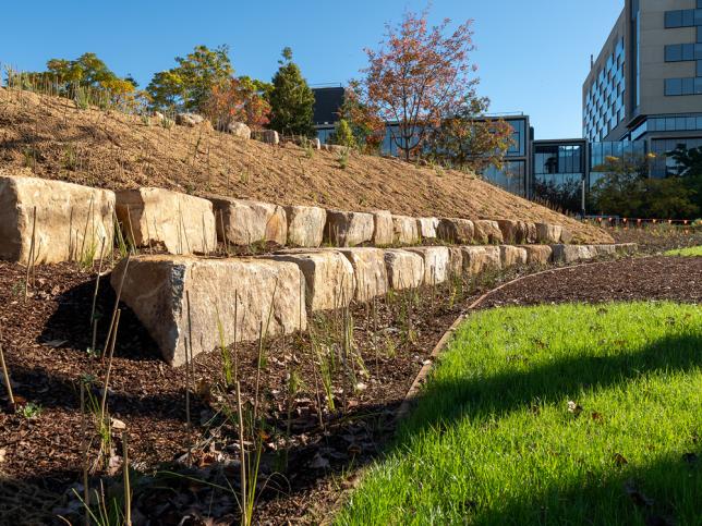 Terraced sandstone retaining wall with new landscaping beside the Bendigo Day Rehabilitation Centre.