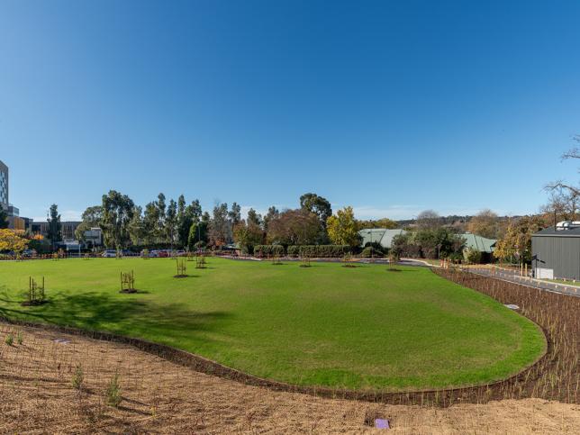 Newly landscaped open green space with young trees at the Bendigo Day Rehabilitation Centre.