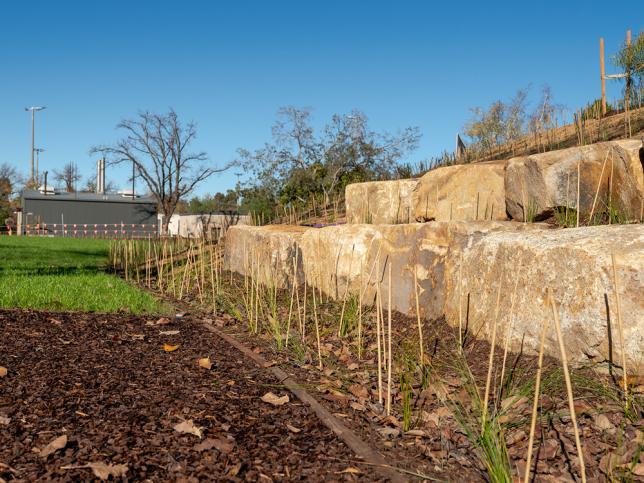 Sandstone terrace and newly planted garden beds within the Bendigo Day Rehabilitation Centre grounds.