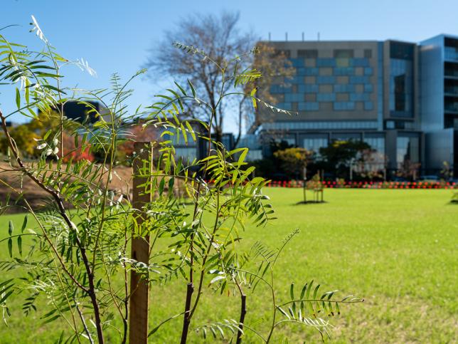 Newly planted native vegetation in the foreground with the Bendigo Day Rehabilitation Centre in the background.