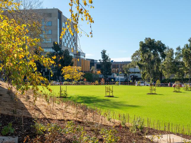 Landscaped lawn, young trees and garden beds surrounding the Bendigo Day Rehabilitation Centre.
