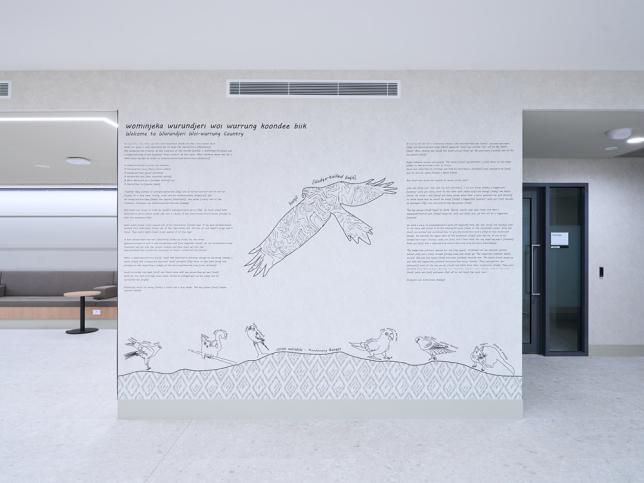 Indigenous artwork featuring local language, bird illustrations and cultural stories displayed on a hospital interior wall.