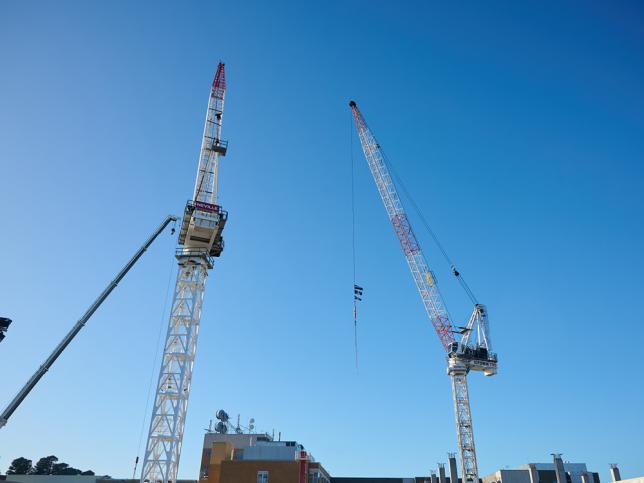 Two cranes against a blue sky