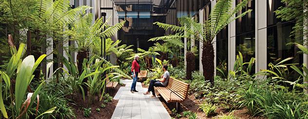 VHHSBA-Health-Sustainability-promo