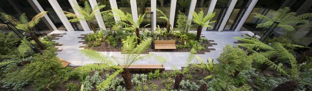 Internal courtyard at Bendigo Hospital. Designed by Bates Smart.