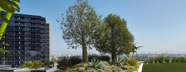 Rooftop garden at the Victorian Comprehensive cancer Centre