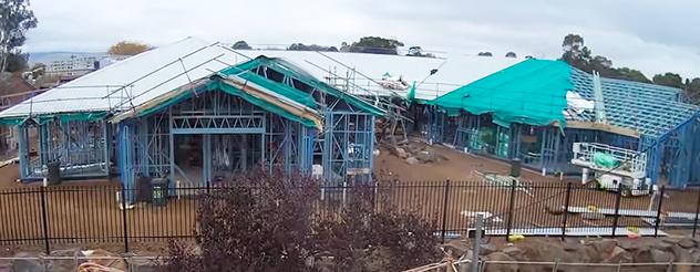 Buildings covered in scaffolding